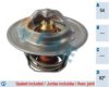 FAE 5203482 Thermostat, coolant